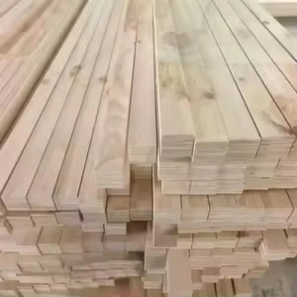 e1ac8cdb-b279-46a8-8435-d75ddcb497a6 e1ac8cdb-b279-46a8-8435-d75ddcb497a6