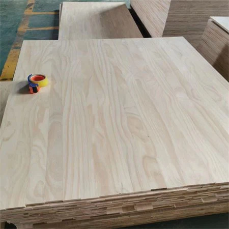 Paulownia lesena tekstura